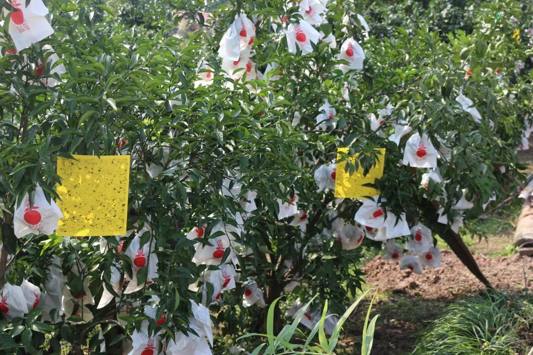 /website-webapp/ewebeditor/uploadfile/5