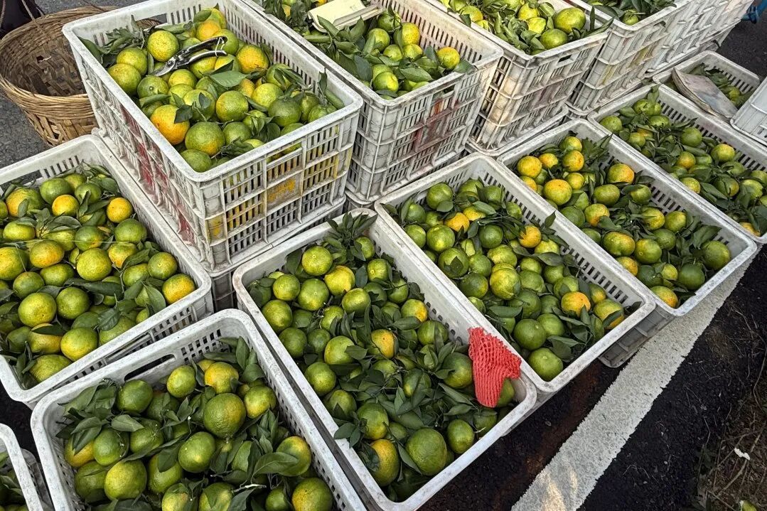 /website-webapp/ewebeditor/uploadfile/4