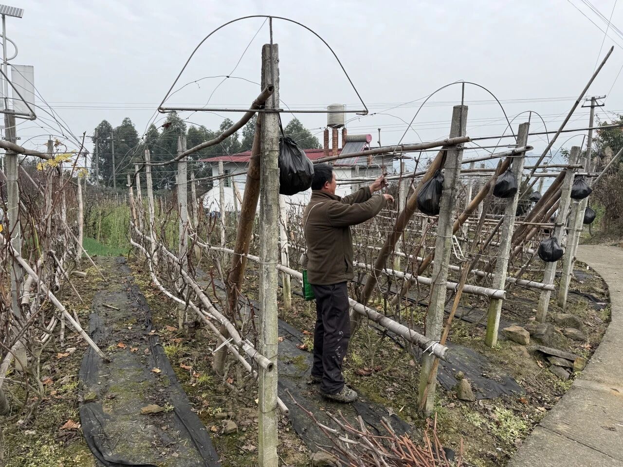 /website-webapp/ewebeditor/uploadfile/5