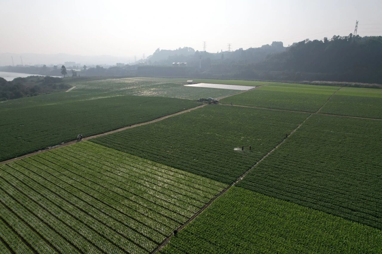 /website-webapp/ewebeditor/uploadfile/1