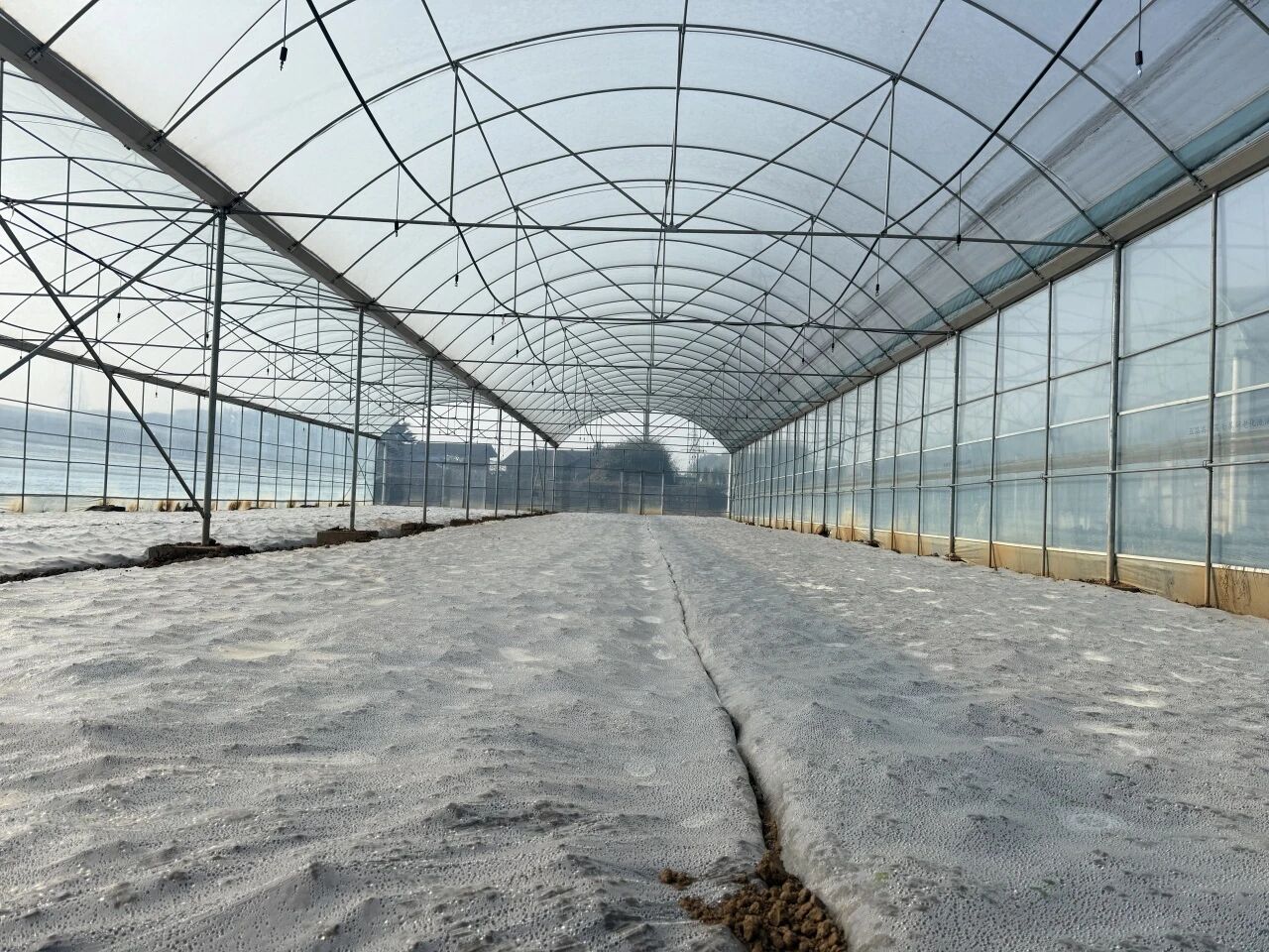 /website-webapp/ewebeditor/uploadfile/2