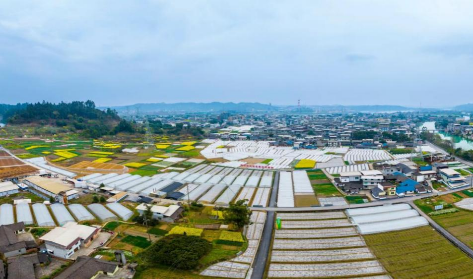 /website-webapp/ewebeditor/uploadfile/1