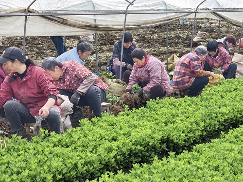 e4a78d5bba7b21fbf11ce2b0052b6035