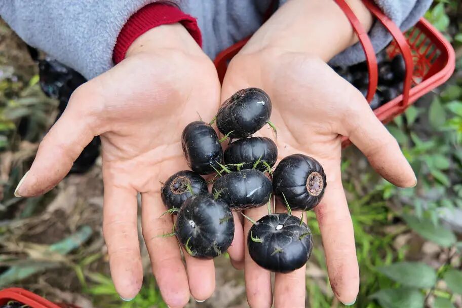 /website-webapp/ewebeditor/uploadfile/3