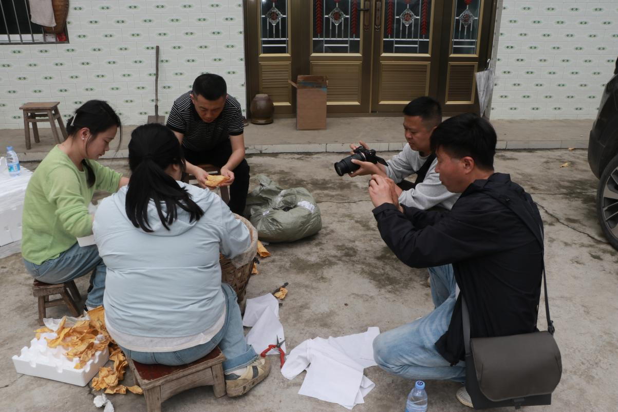 /website-webapp/ewebeditor/uploadfile/图片3